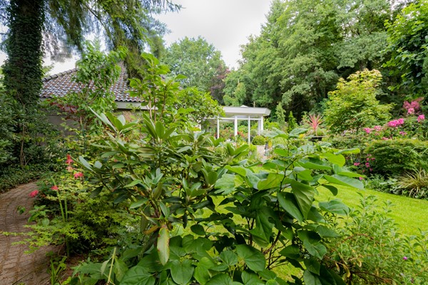 Medium property photo - Patersweg 9, 5951 NC Belfeld